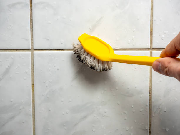 Best Mold Damage Repair  in Avon, OH