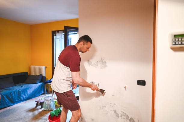 Best Residential Mold Removal  in Avon, OH